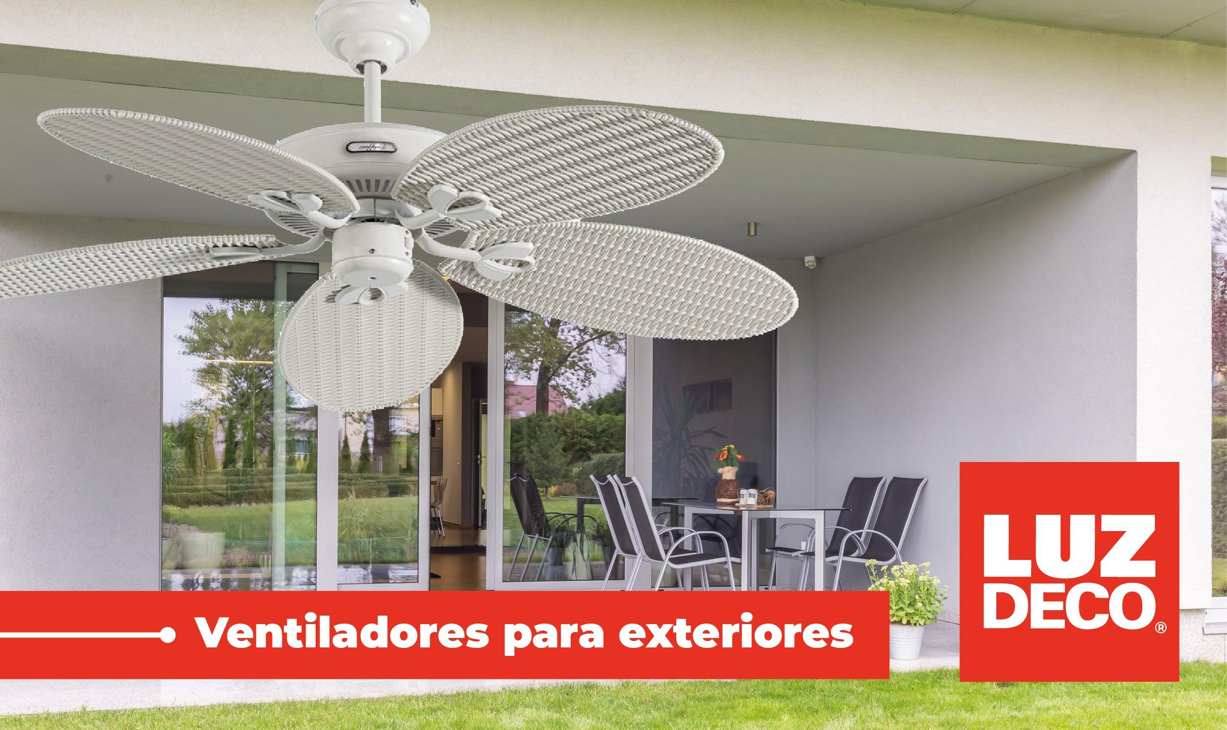 Ola de calor: siete ventiladores de techo que refrescan cada estancia con  sencillez y elegancia
