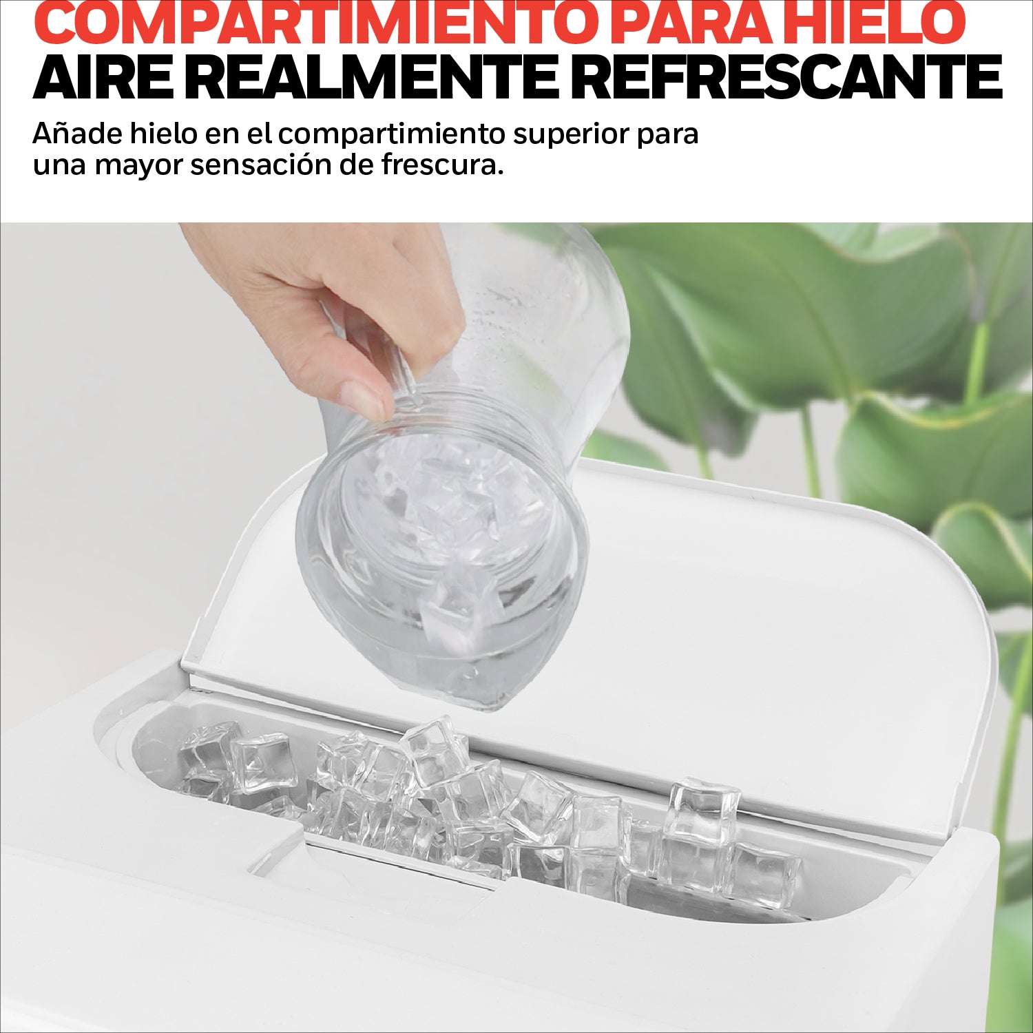 Honeywell Enfriador de Aire, Humidificador, Ventilador 3 en 1 de 20L para 19m2 Con Control, Modelo CL202PEUI