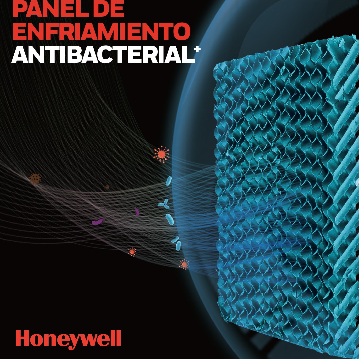 Honeywell Enfriador de Aire, Humidificador, Ventilador 3 en 1 de 20L para 19m2 Con Control, Modelo CL202PEUI