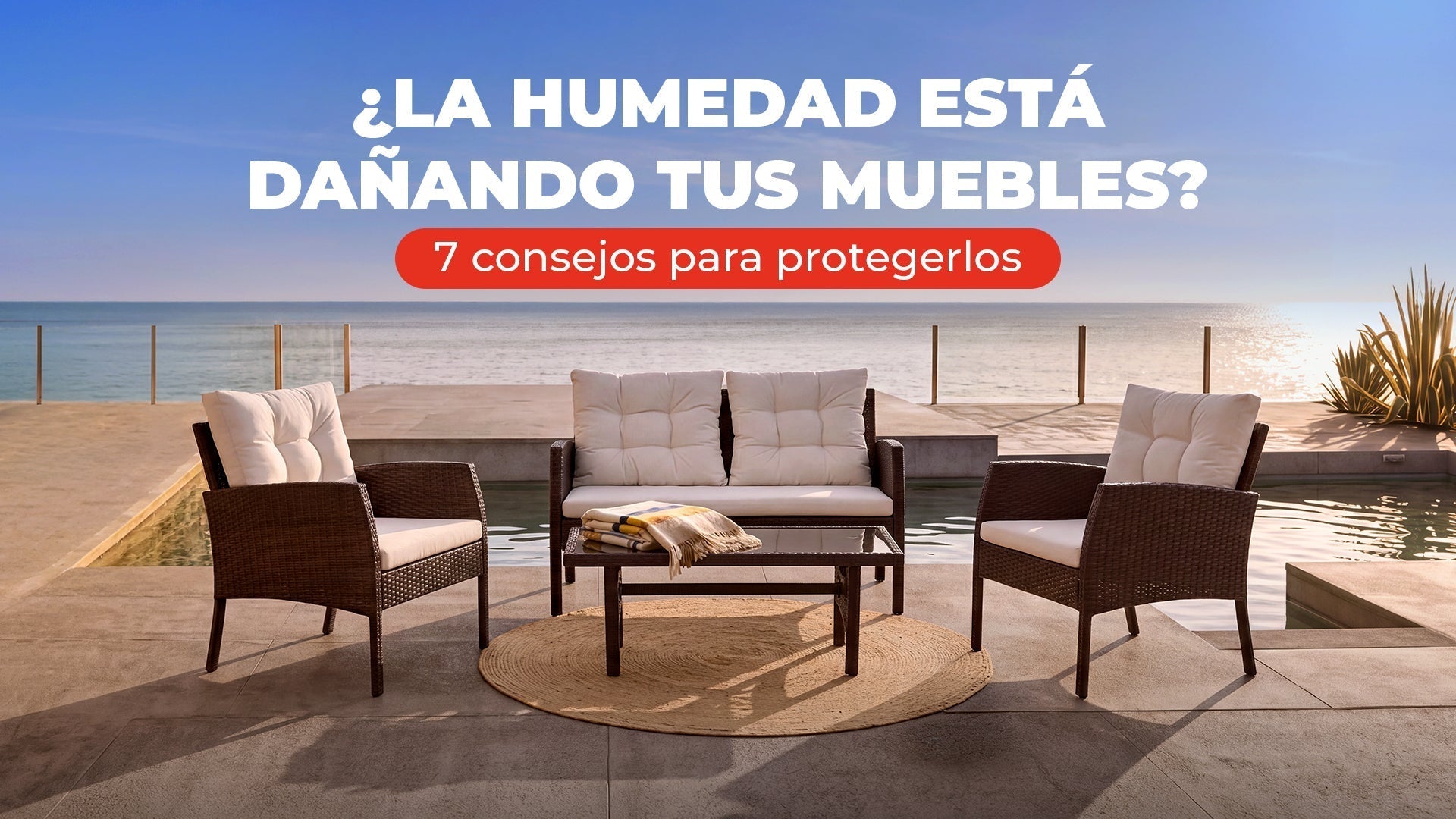 ¿La humedad está dañando tus muebles? 7 consejos para protegerlos