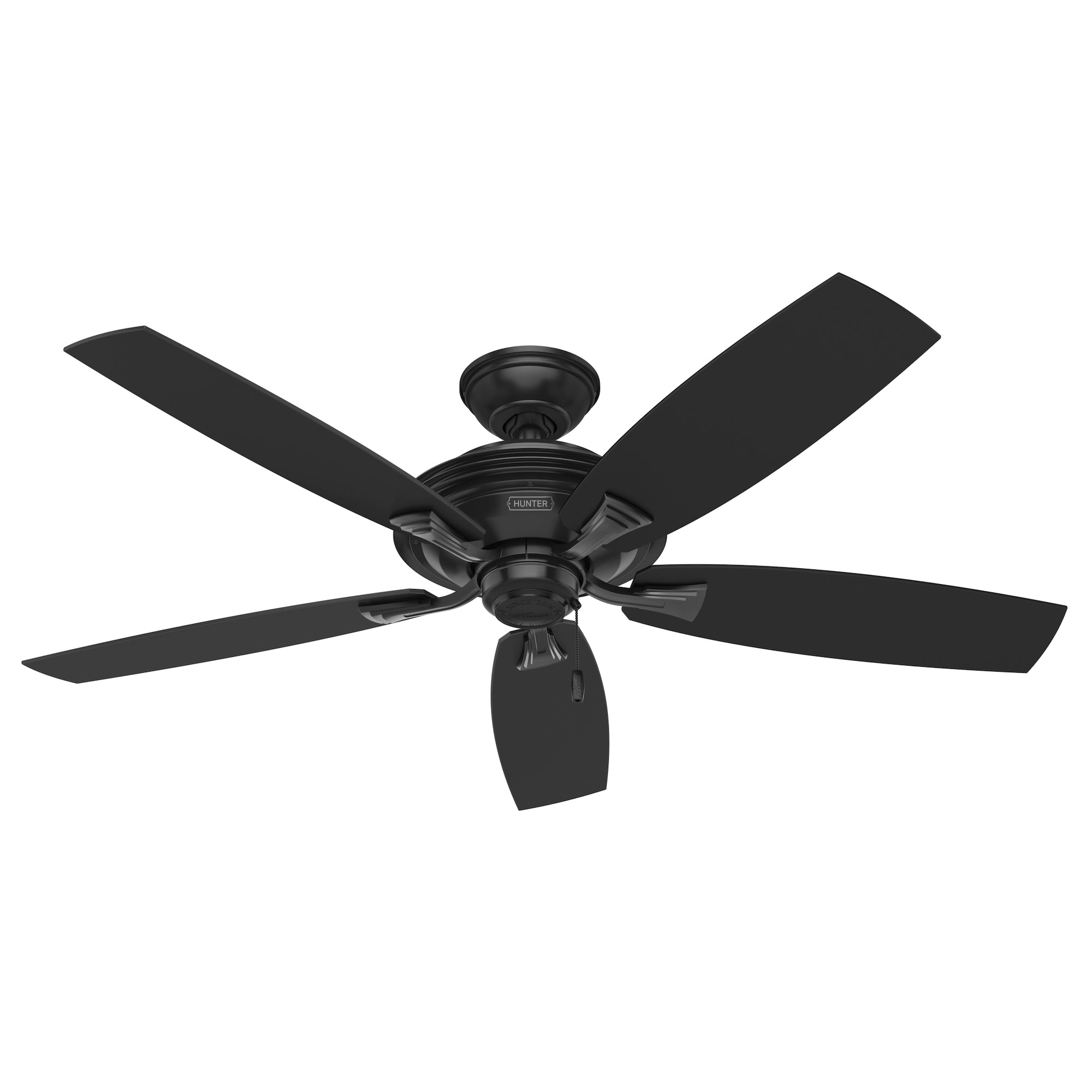 Hunter Ventilador de Techo de 52" 5 Aspas con Control de Cadena Apto para Exterior, Modelo Rainsford 53348