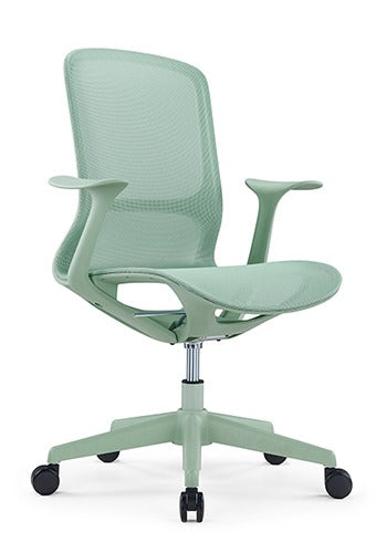 Offiho Silla de Escritorio Ergonómica Reclinable con Altura Ajustable, Modelo Rainbow OHE-101