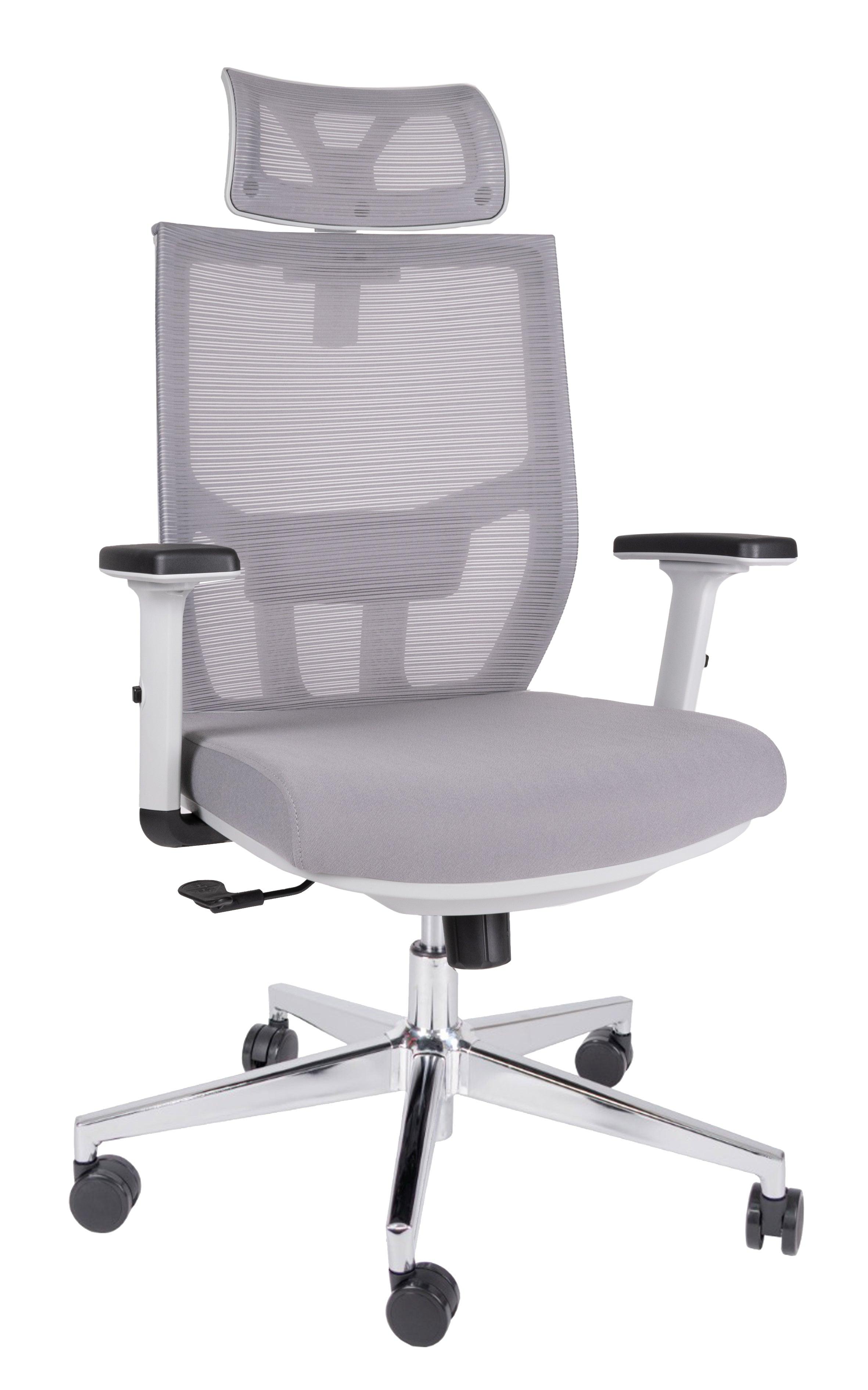 Offiho Silla De Escritorio Ergonómica Reclinable con Altura Ajustable con Tapiz Mesh, Modelo AIKON OHE 705 - LuzDeco