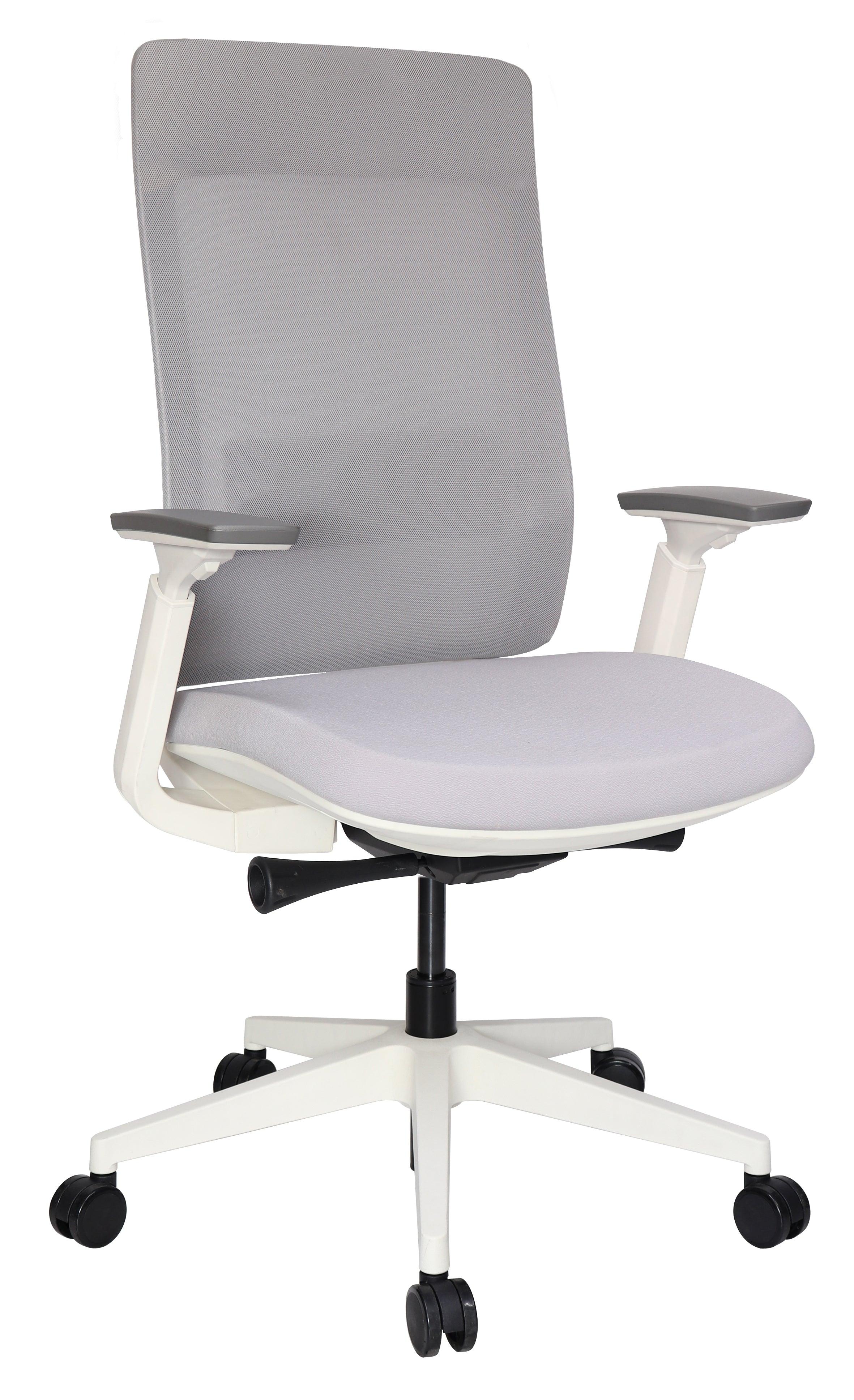 Offiho Silla de Oficina Ergonómica Reclinable con Altura Ajustable, Modelo QUO EJECUTIVA OHE-803 - LuzDeco