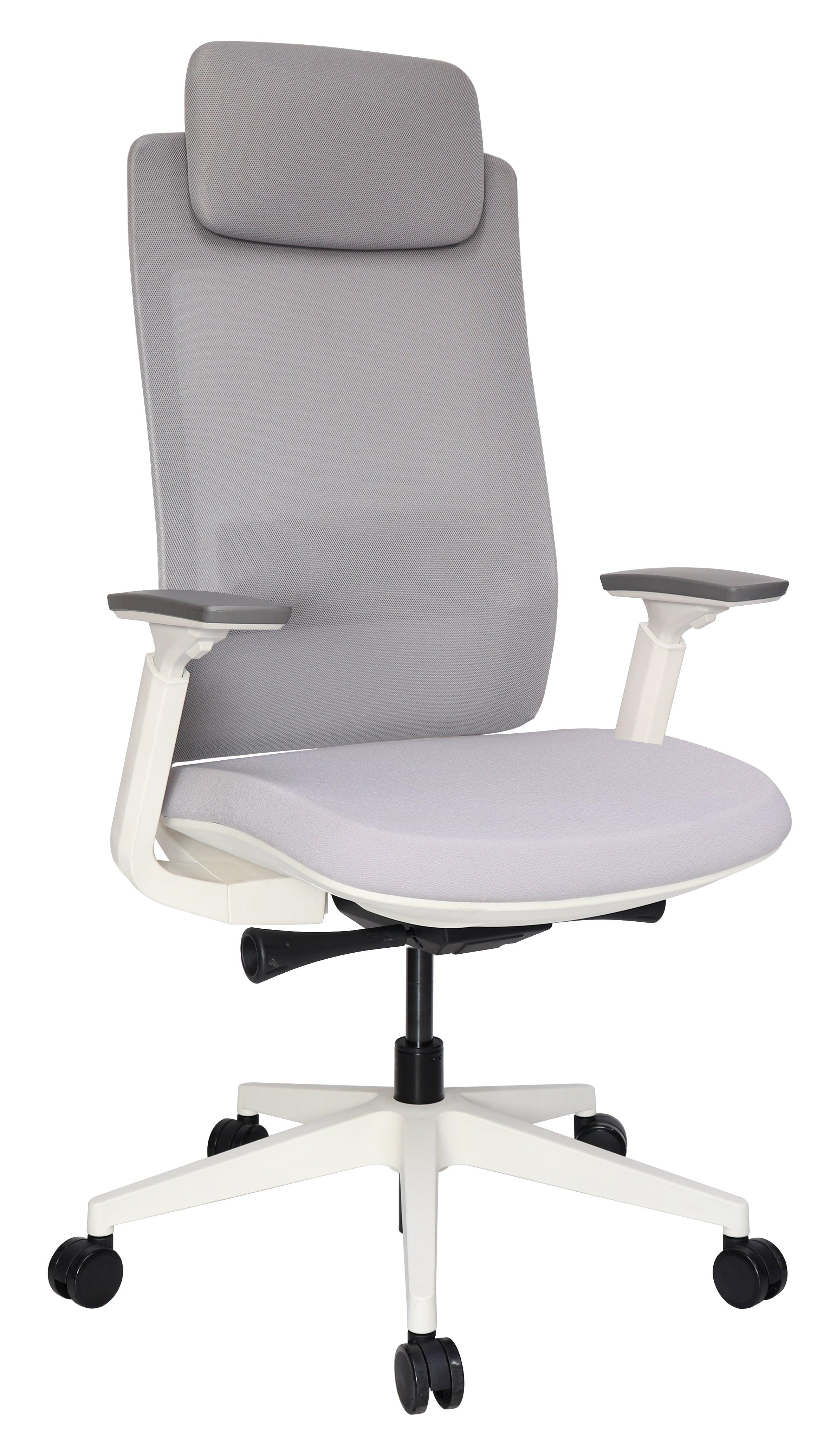 Offiho Silla de Oficina Ergonómica Reclinable con Altura Ajustable, Modelo QUO EJECUTIVA OHE-805 - LuzDeco