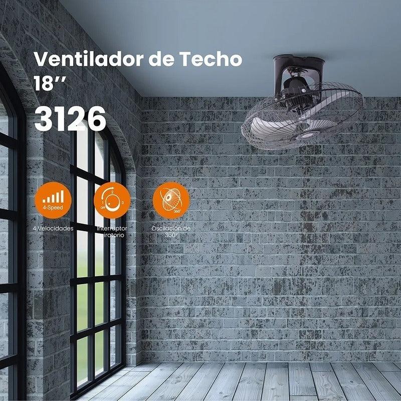 Baoqifong Lagartija Teledirigida - Camaleón De Teledirigido, A Control Remoto Escala Paredes, De Eléctrico con Ojos LED Brillantes, Puede Trepar Y Trepar Techos para Niños Baoqifong Lagartija Teledirigida - Camaleón De Teledirigido, A Control Remoto Escala Paredes, De Eléctrico con Ojos LED Brillantes, Puede Trepar Y Trepar Techos para Niños