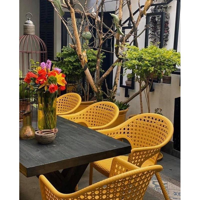 Set de 2 Sillas de Comedor Tipo Ratán Con Descansabrazos para Exterior e Interior con Protección Solar UV, Modelo Iris 7029 - LuzDeco